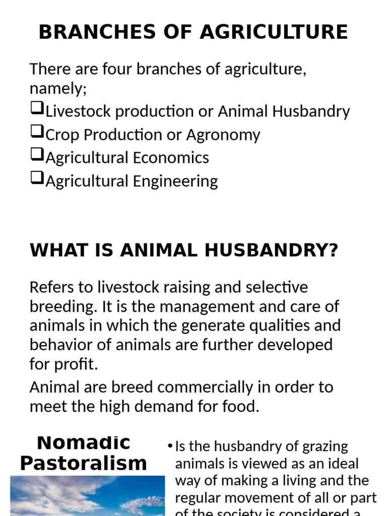 Four Branches of Agriculture Explained | PDF | Agriculture | Livestock