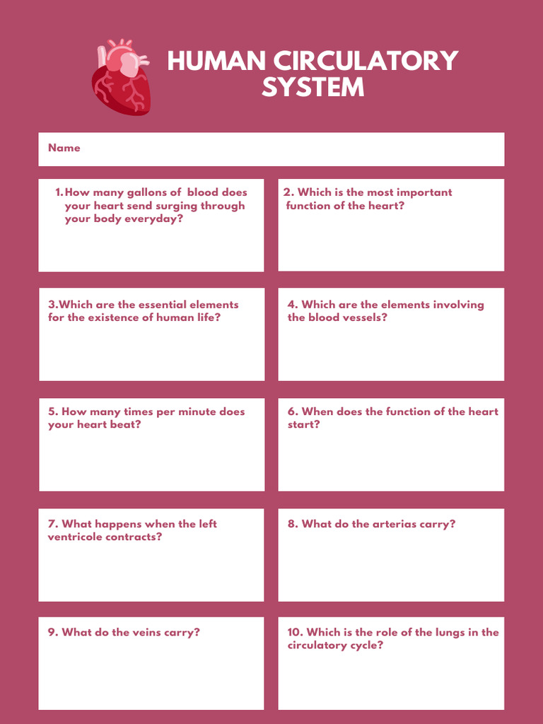 human-circulatory-system-pdf