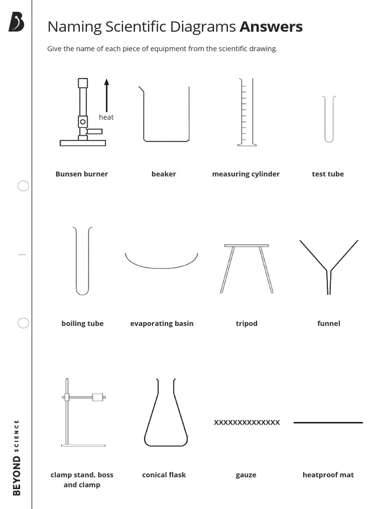 Naming Scientific Diagrams Answers | PDF