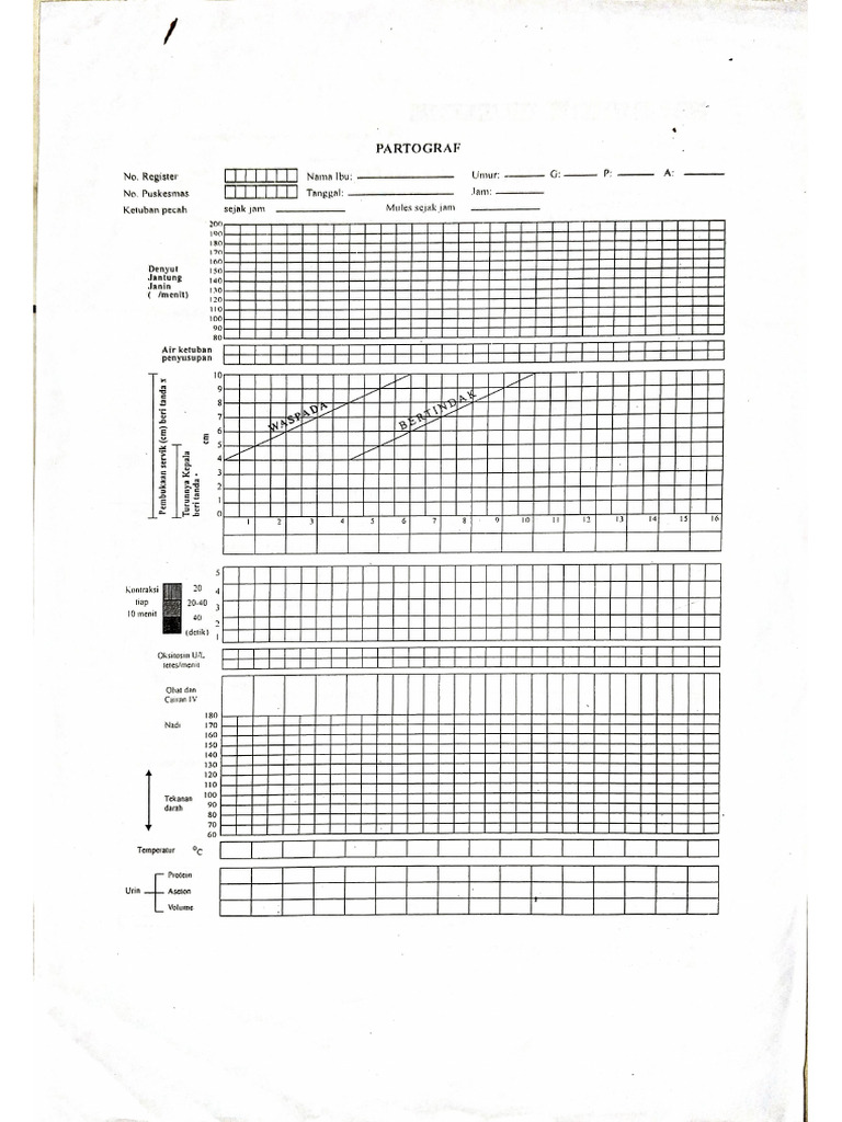 Partograf | PDF