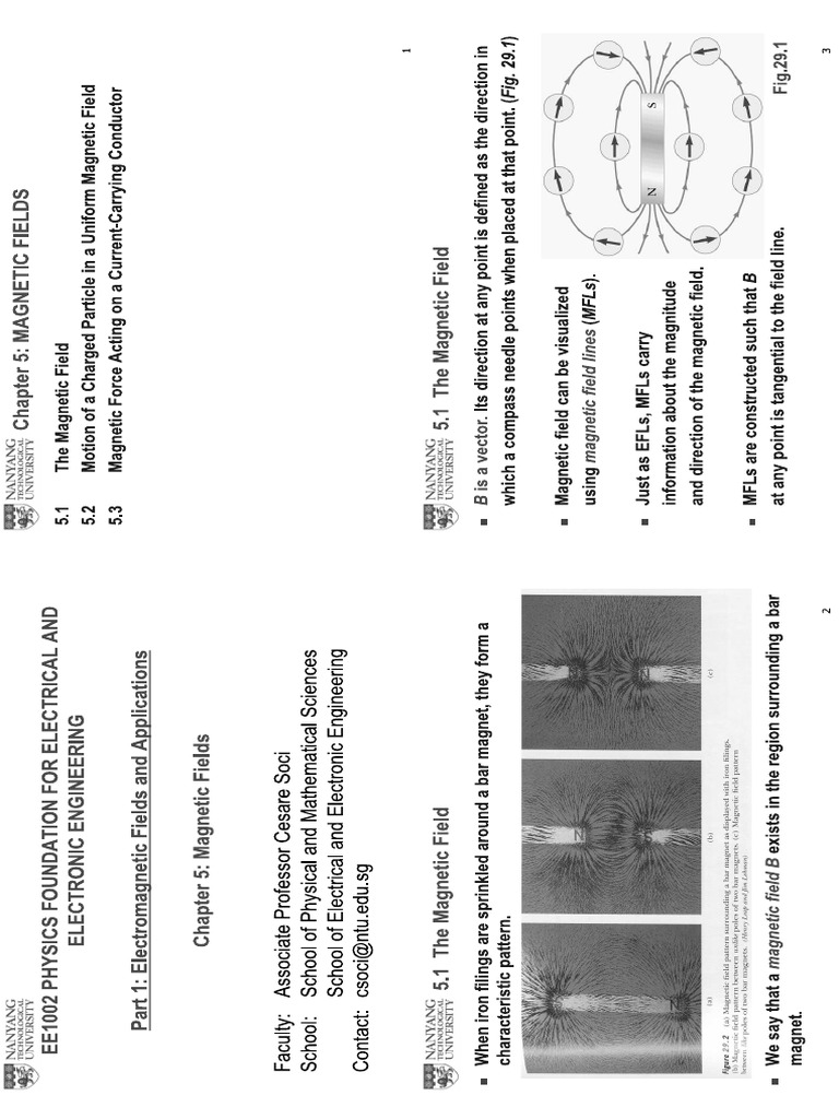 Chapter 5 Notes | PDF