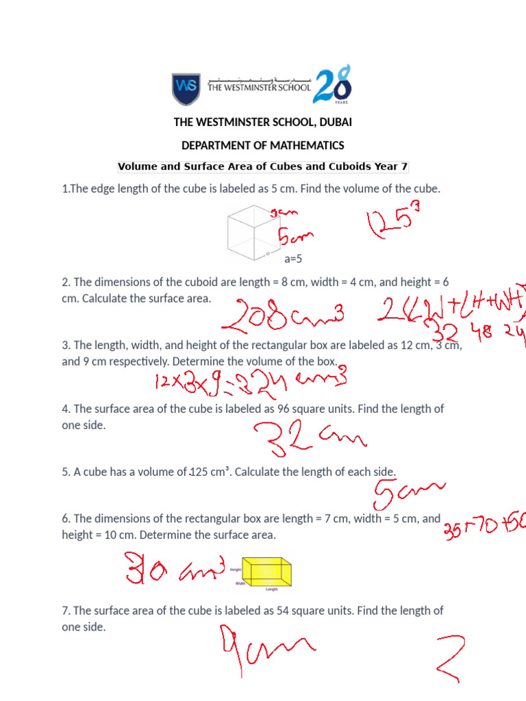 Volume and Surface Area - Yr 7 | PDF