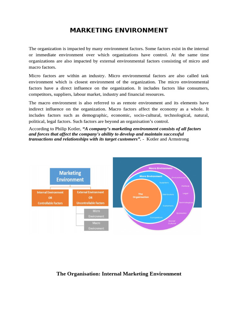 Marketing Environment | PDF