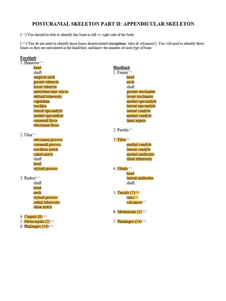 BIOL 251 Lab 4-Appendicular Skeleton | PDF