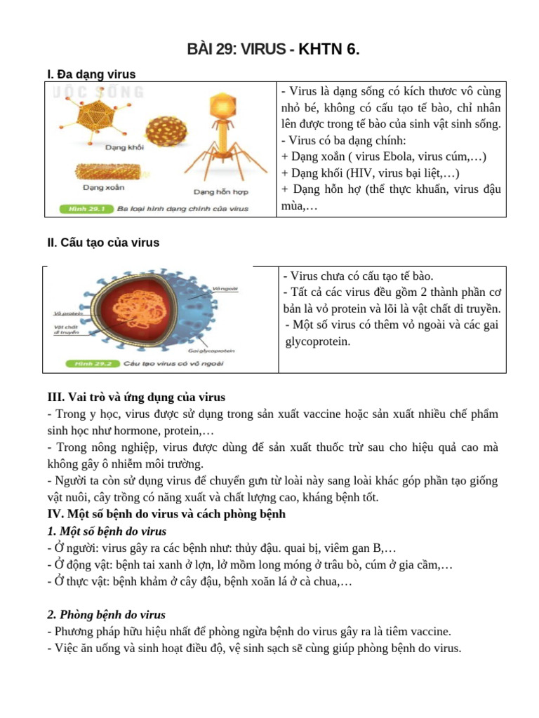 Bài 29. VI RUT | PDF