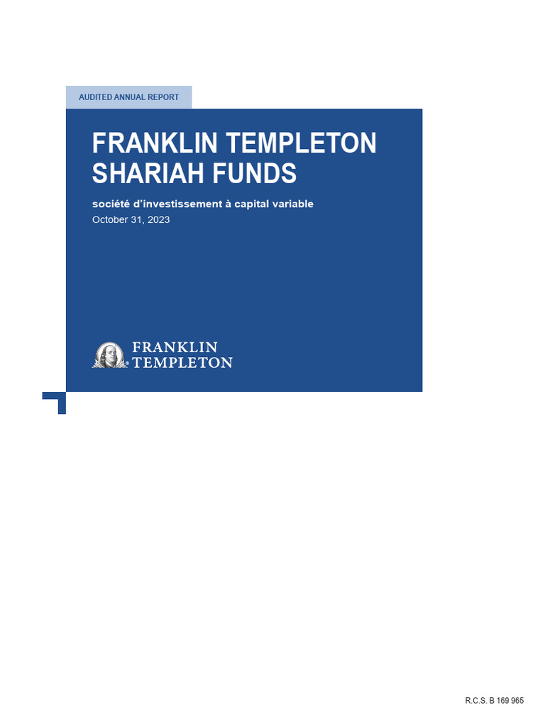 FTSF Annual Report en | PDF