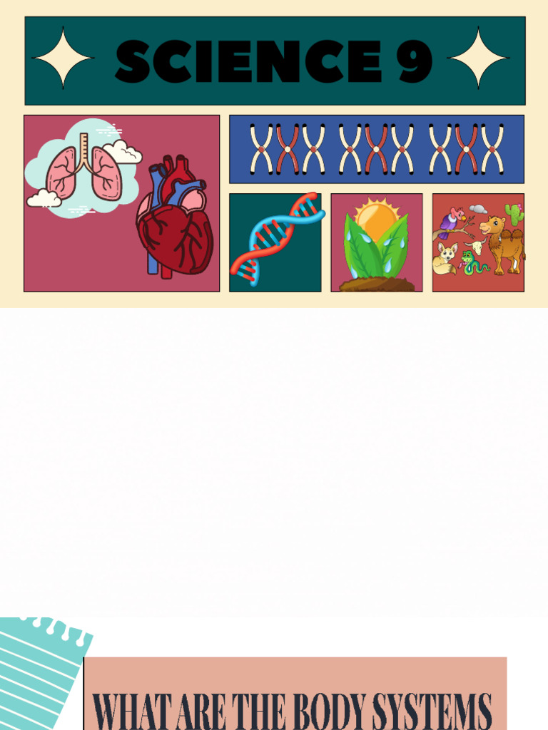 RESPIRATORY SYSTEM PARTS AND FUNCTIONS PDF GRADE 9 visual data 6