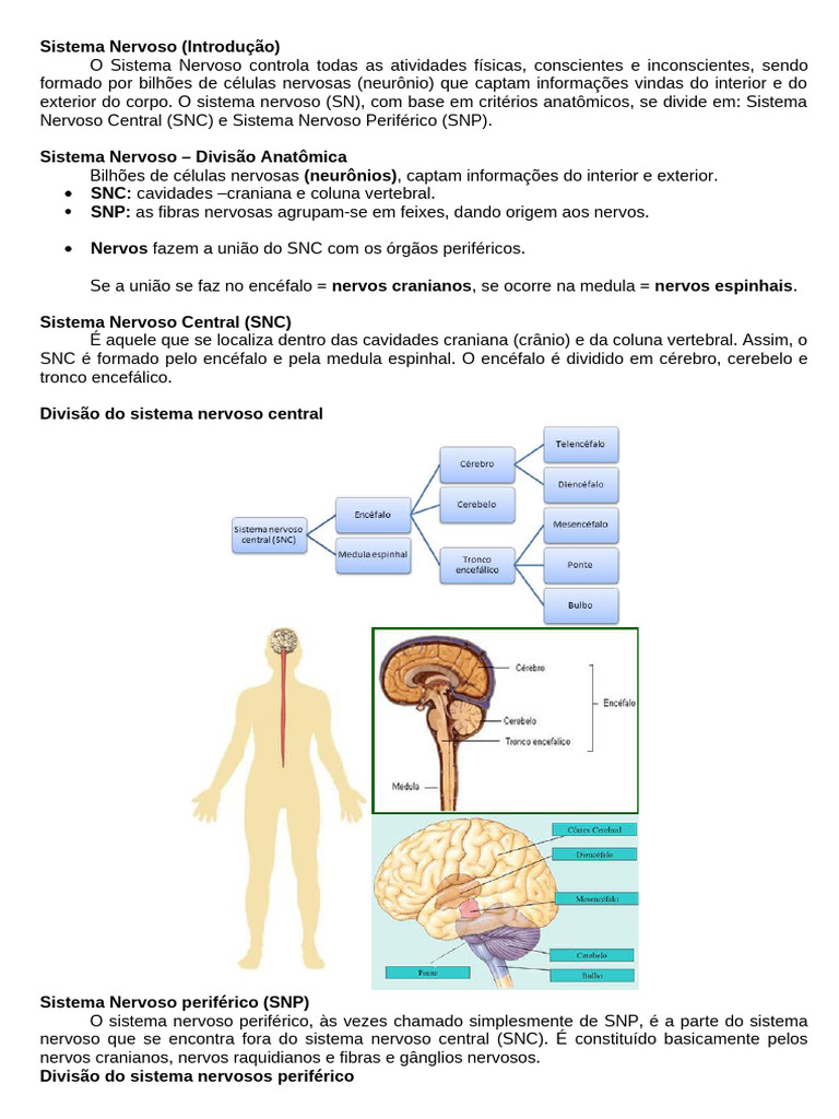 Sistema Nervoso - Introdução | PDF