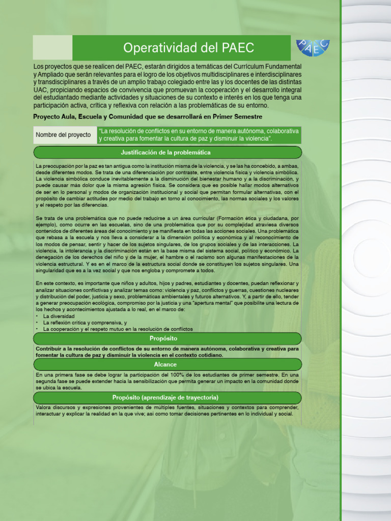 PAEC 1er Sem 24-25 | PDF
