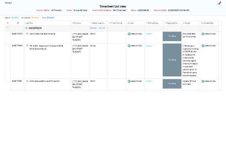 Timesheet 736040000018256255 | PDF