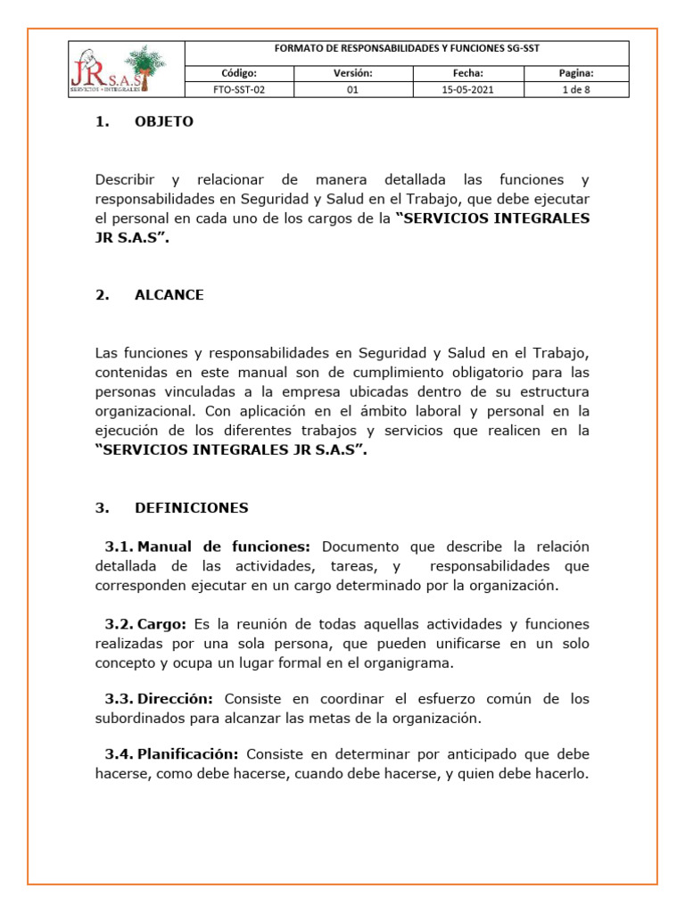 FTO-SST-02 Formato de Funciones y Responsabilidades SG-SST | PDF
