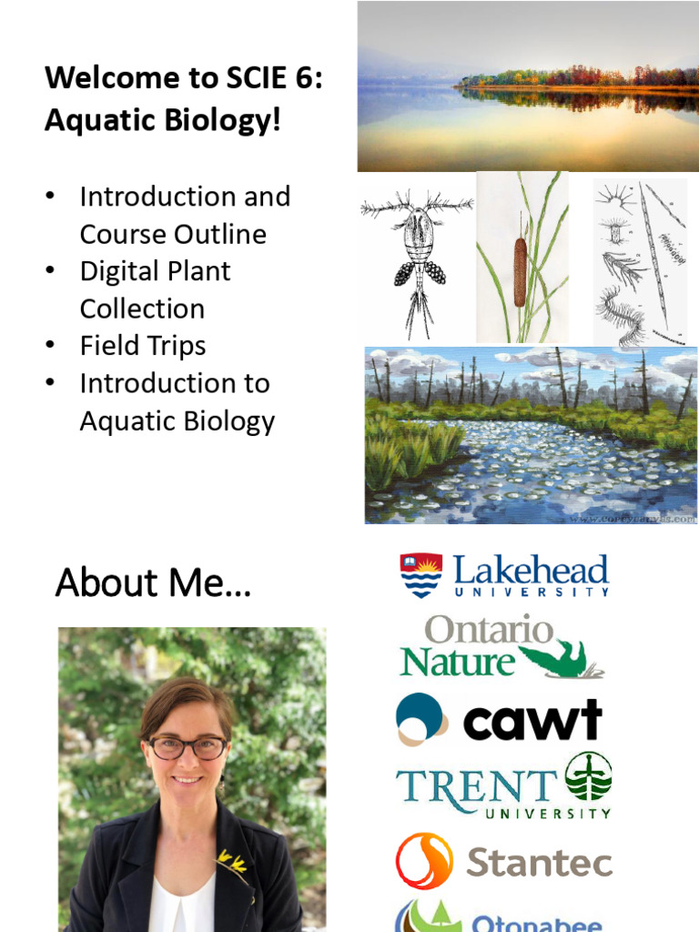 Aquatic Biology Lecture 1 | PDF | Wetland | Water