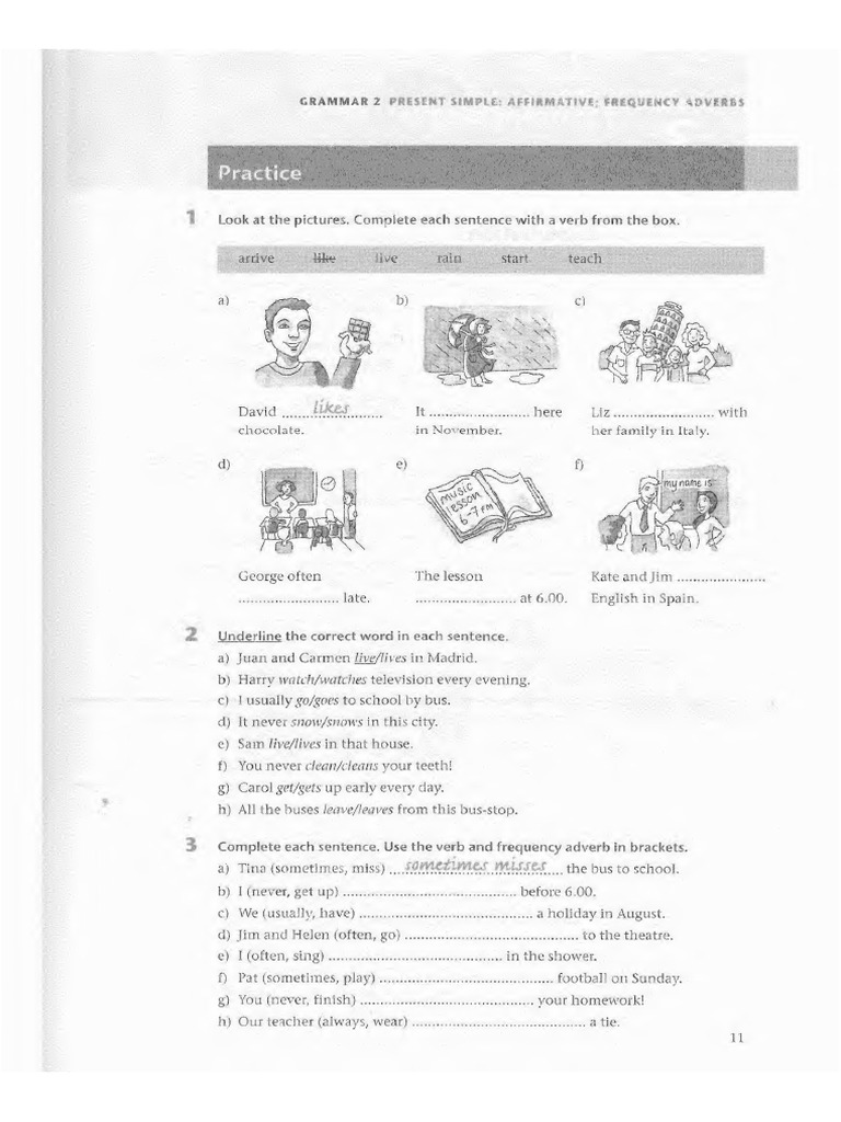 Present simple practice with adverbs pdf