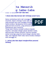 10 Fakta Laba-laba