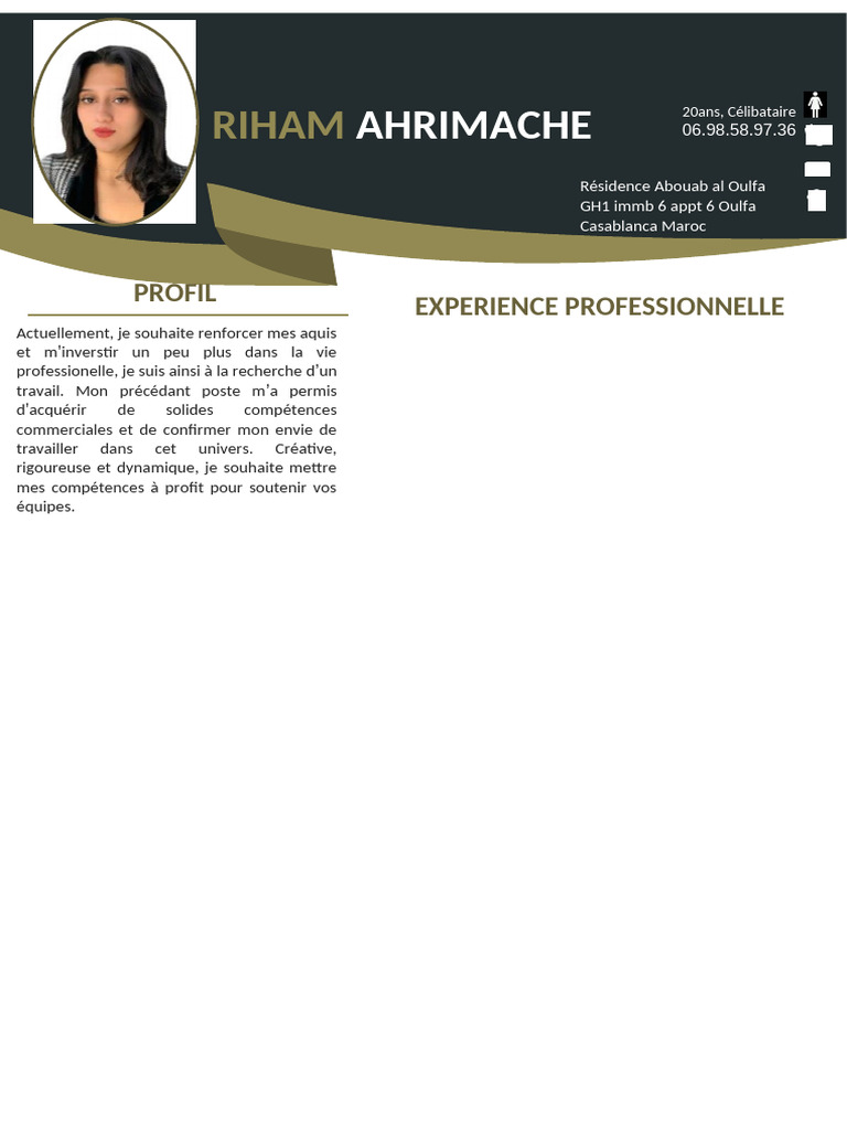 Riham CV 2022 | PDF