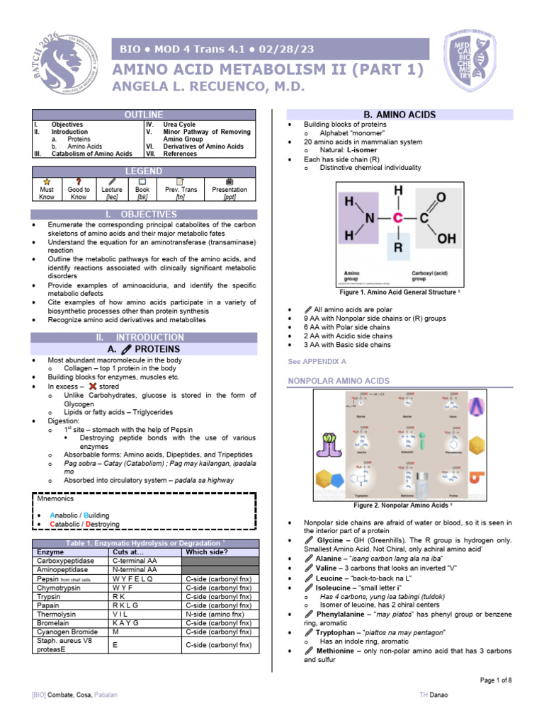 Mnemonics for Amino Acid Metabolism | PDF | Amino Acid | Citric Acid Cycle
