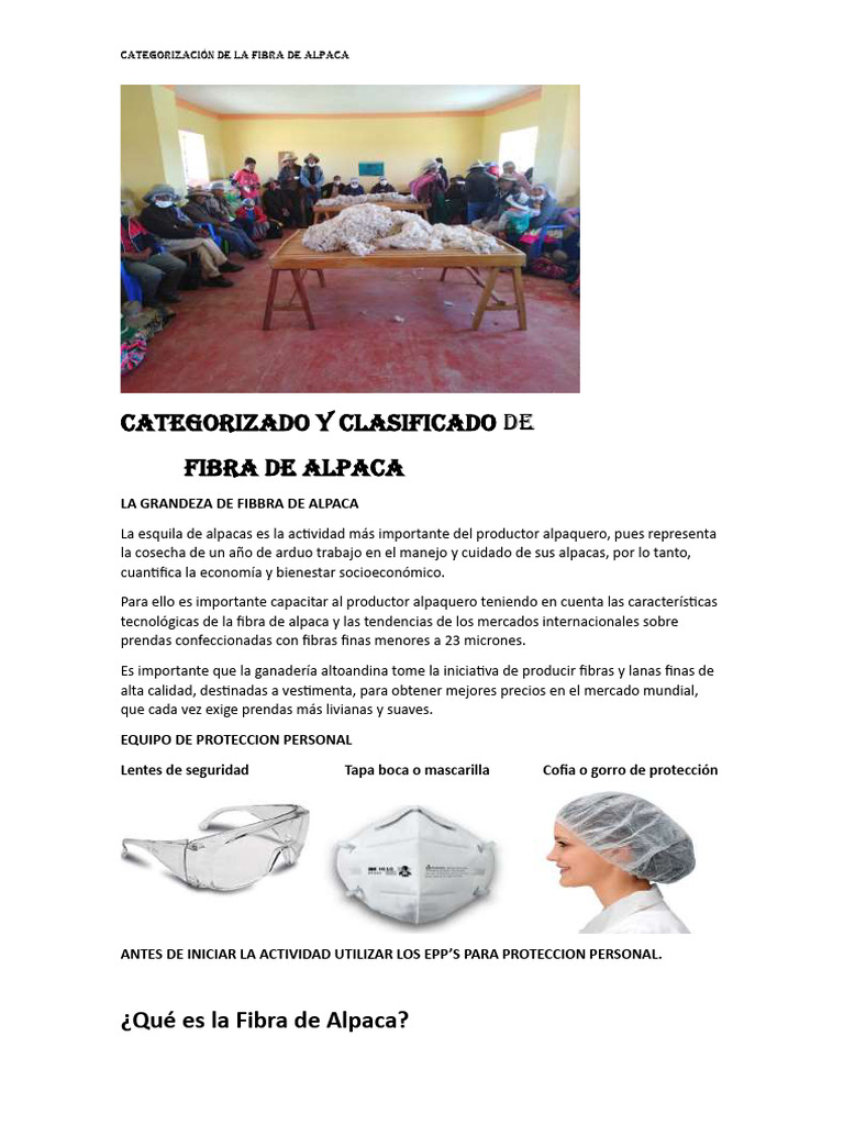 Categorizado y Clasificado de Alpaca | PDF