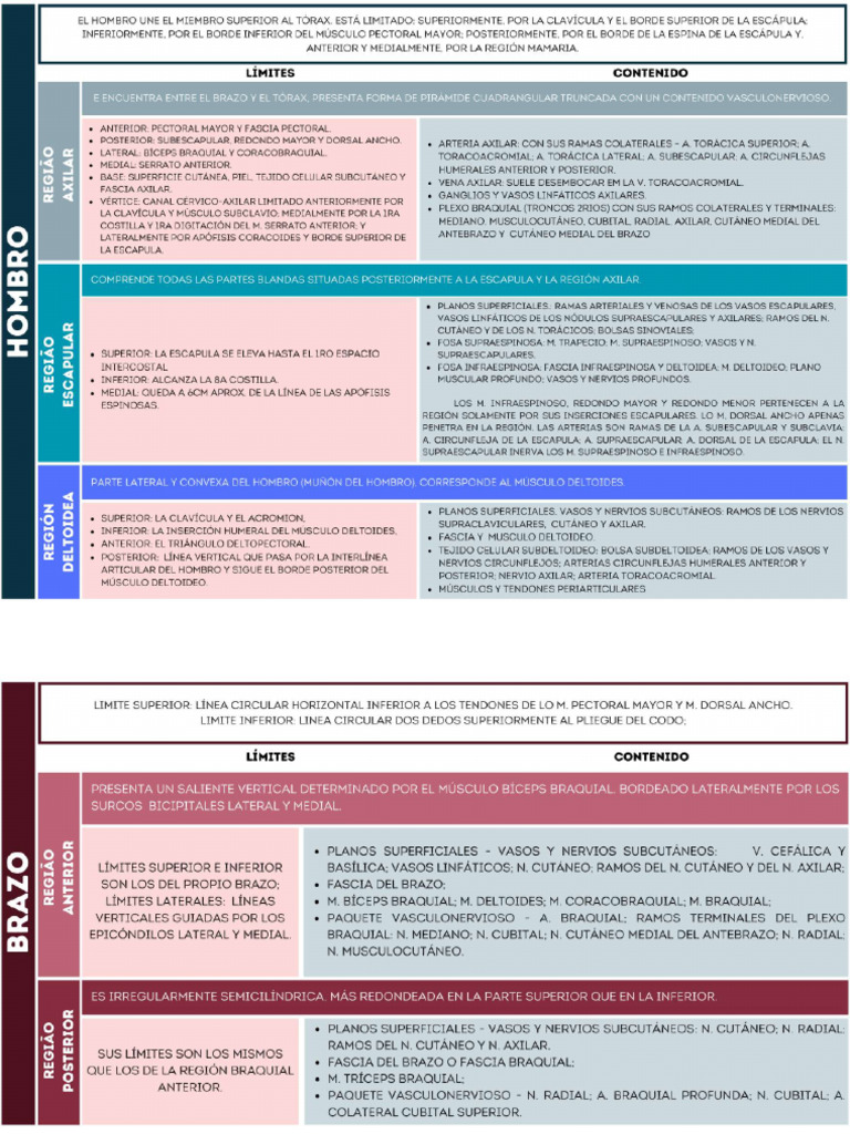 Topografia Do MMSS | PDF