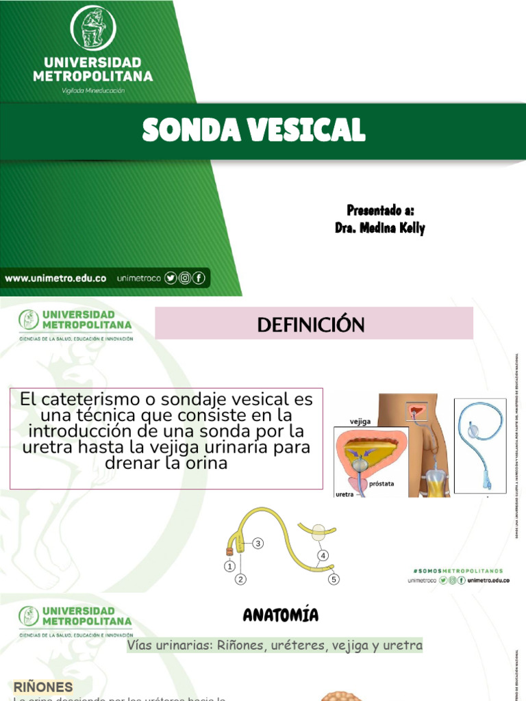 Sonda Vesical y Nasogatrica | PDF