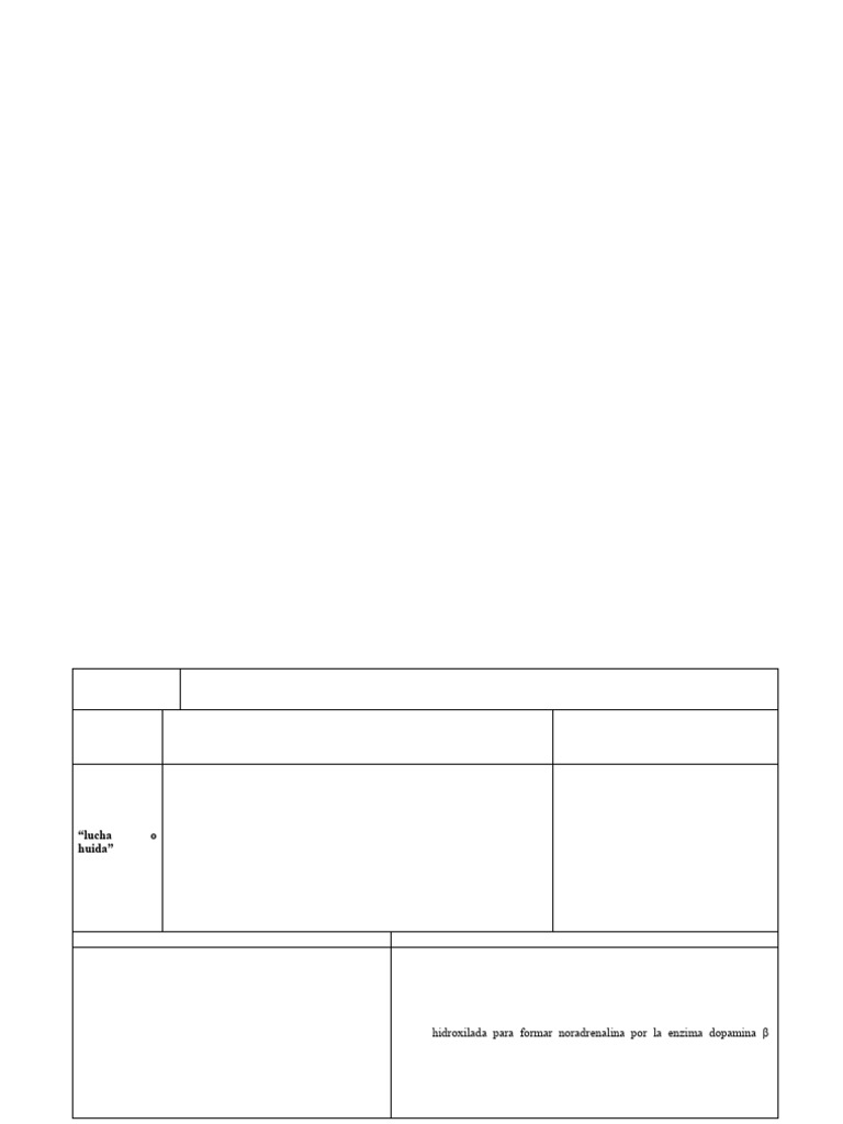 Documento 1 | PDF