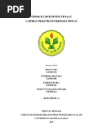 Download laporan pencernaan by 085695081841 SN76757036 doc pdf