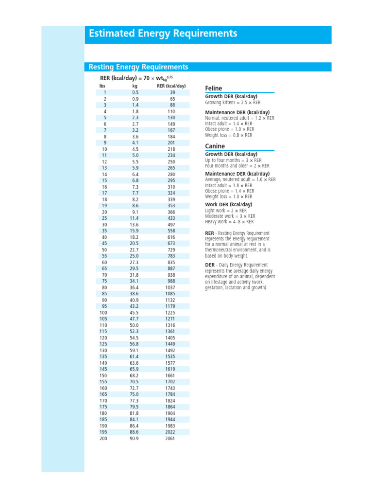Resting Energy Requirements | PDF