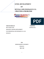 Channel Development OF Icici Prudential Life Insurance Co. Ltd.-Process & Problems