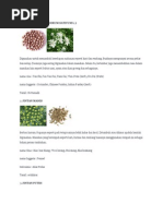 Download kegunaan rempah by Siti Fauziah Yahaya SN76761169 doc pdf