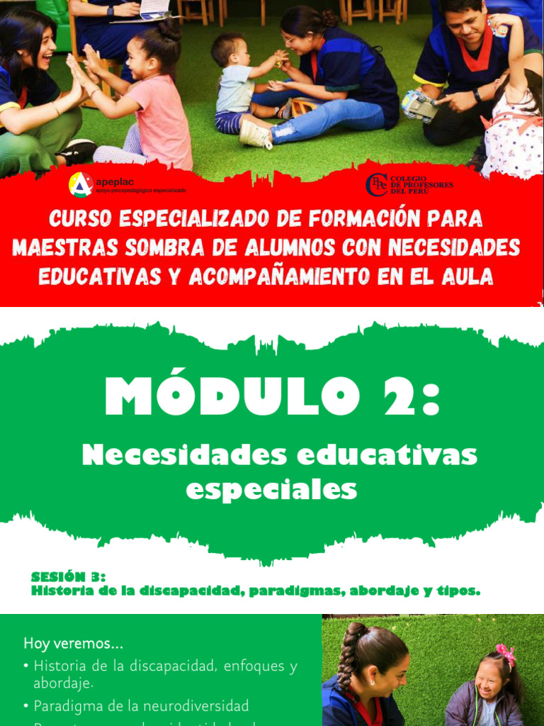 Historia y Tipos de Discapacidad | PDF | Invalidez | Salud y bienestar