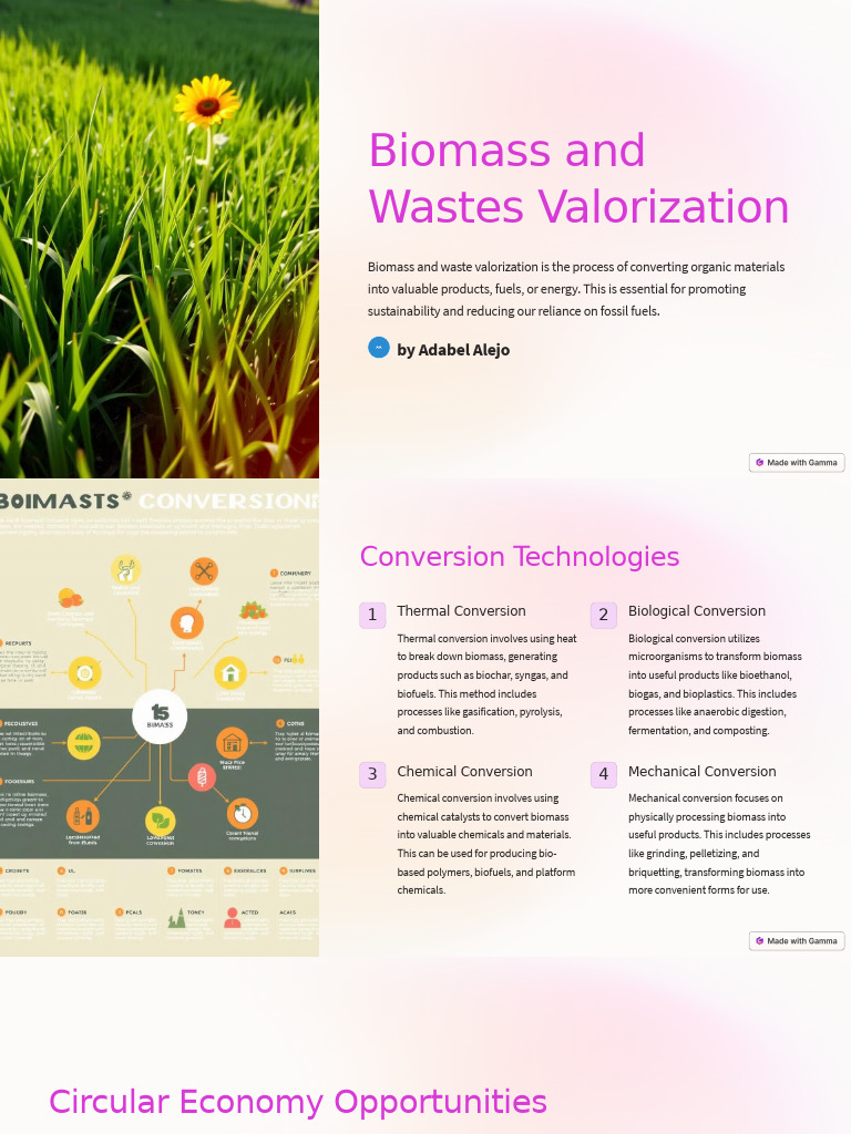 Biomass and Wastes Valorization | PDF