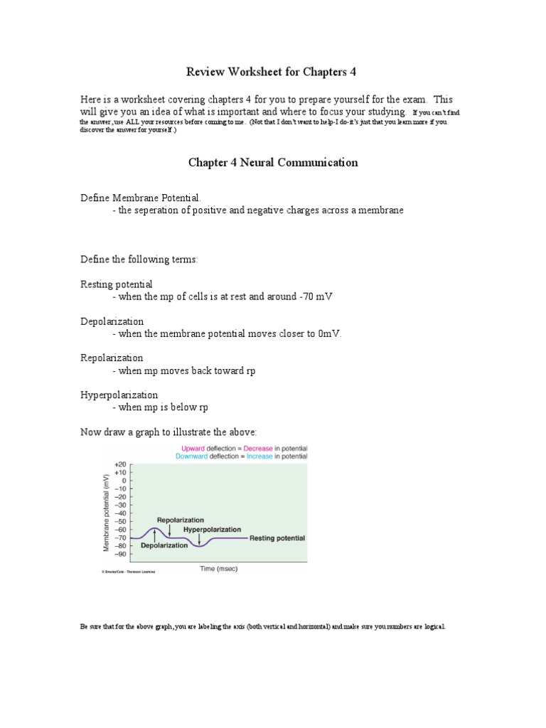 Review Worksheet Chapter 4 Exam 1.s11doc | Membrane Potential | Action