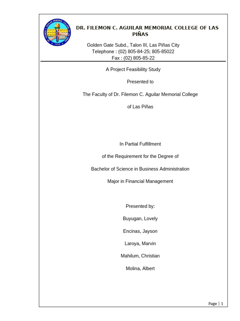 Rice Retailer Feasibility Study | PDF