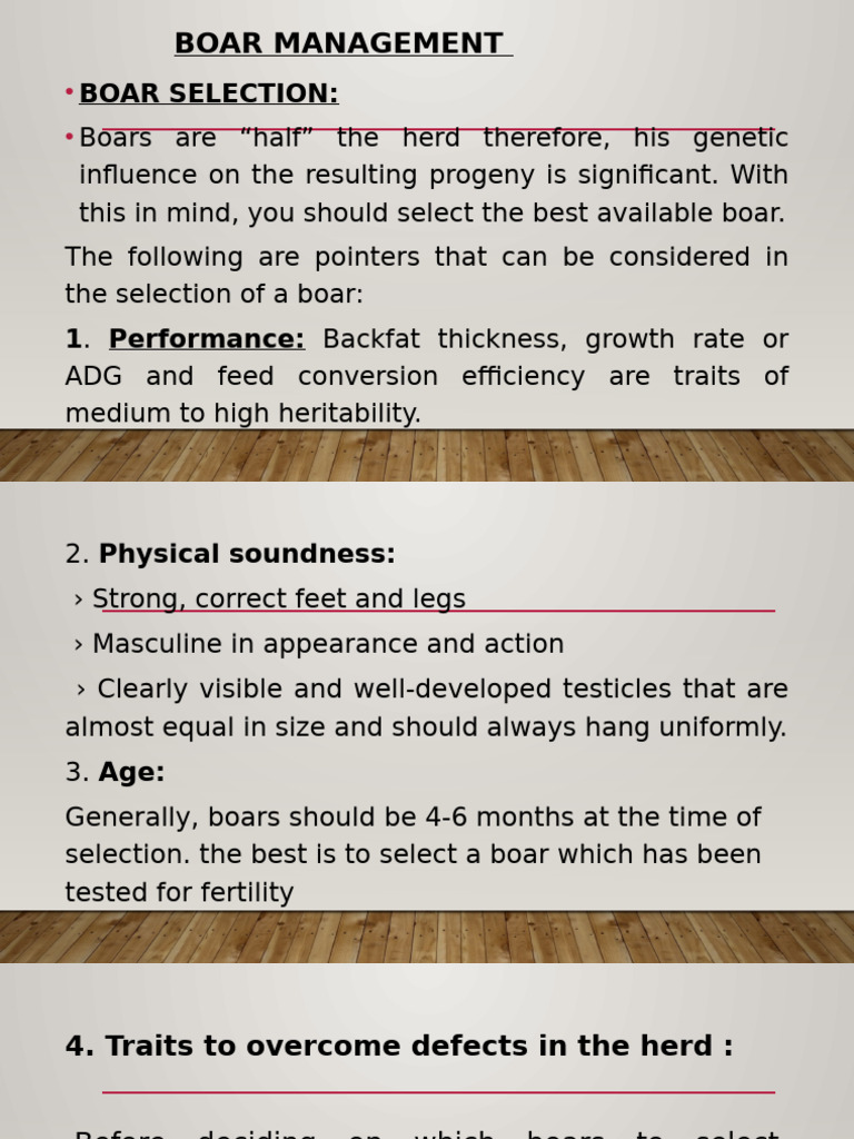 Boar Management Pdf