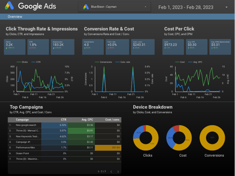 Blue Bison Google Ads | PDF