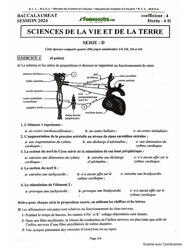 sujet-et-corrig-bac-2024-svt-serie-d-pdf