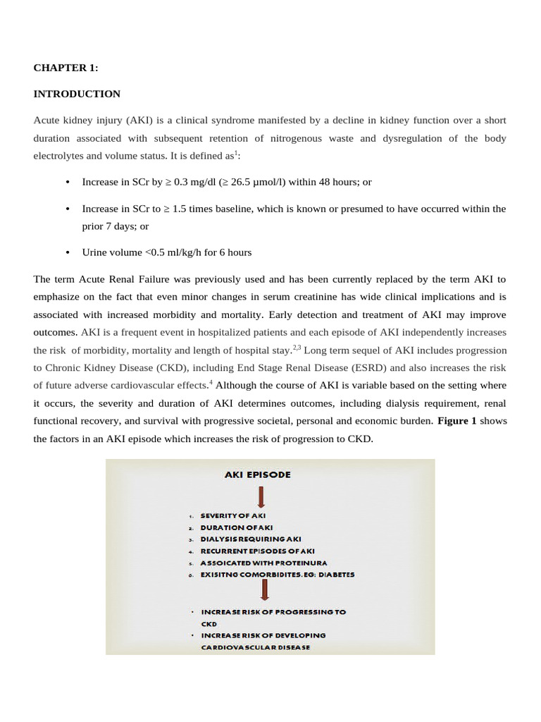 Aki Chronicles | PDF