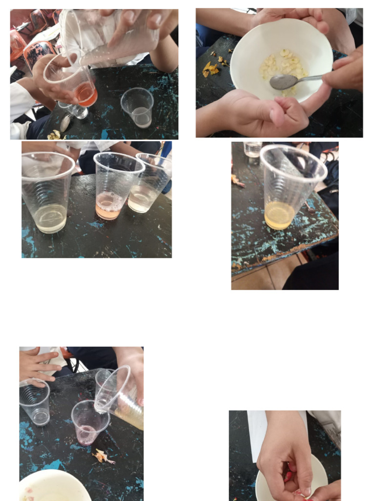 Ciencias Copís | PDF