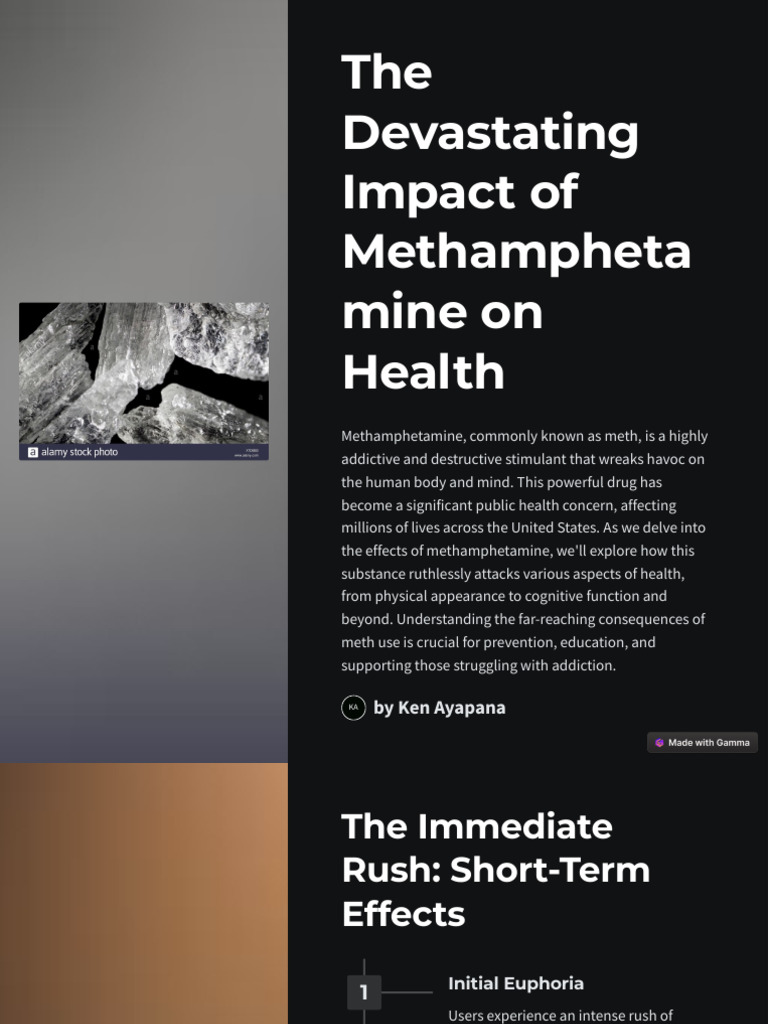 The Devastating Impact of Methamphetamine On Health | PDF