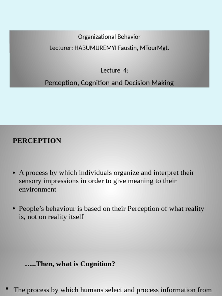 Organization Behaviour-Lecture 4 | PDF