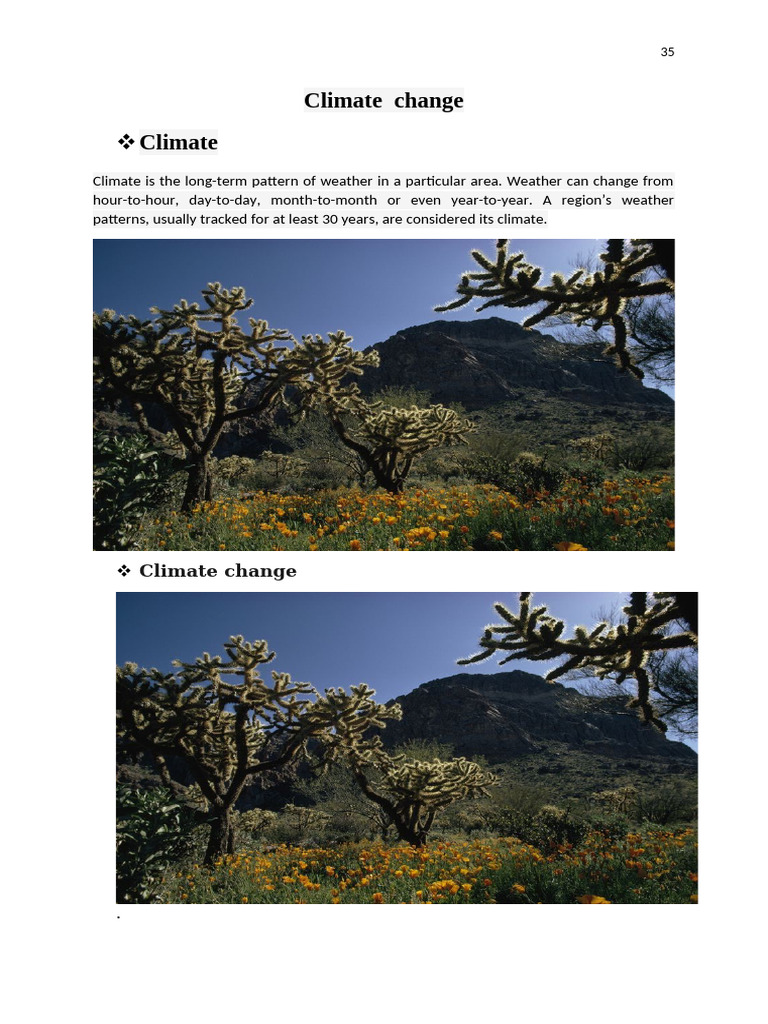 Climate Change Pdf