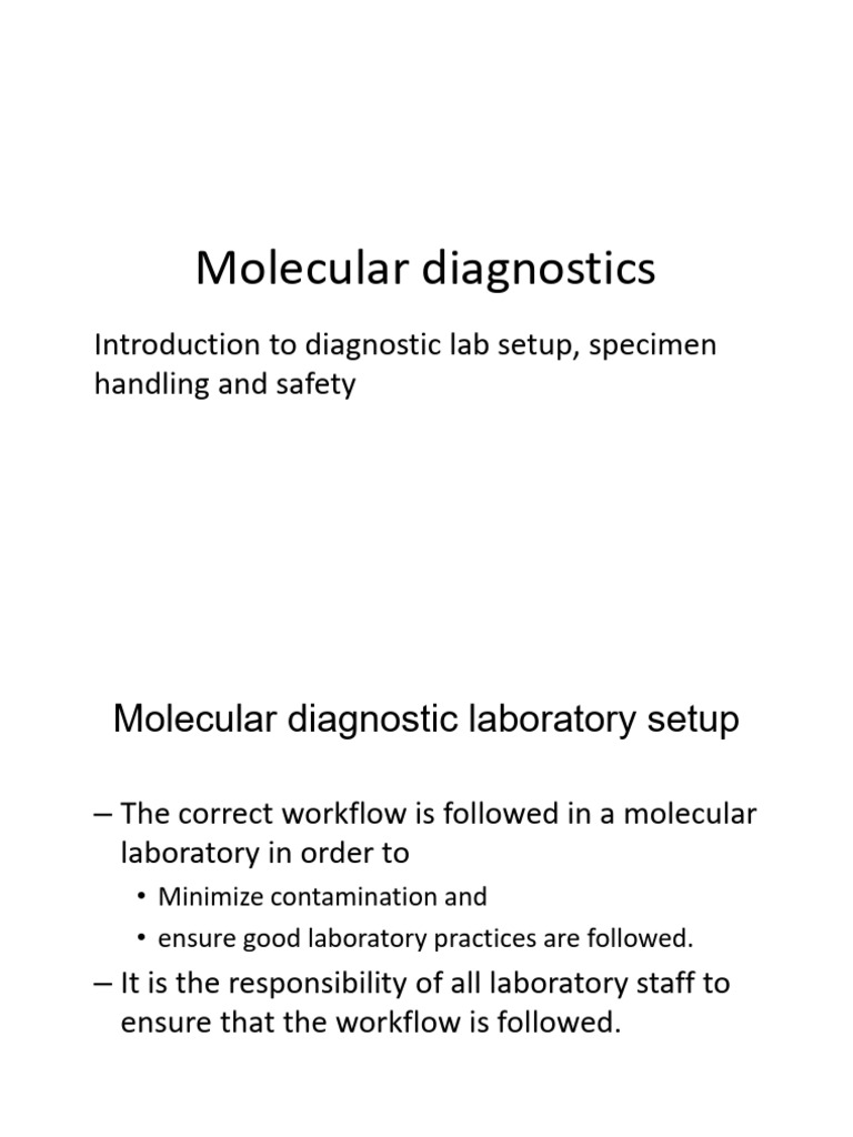 Molecular Lab Setup and Safety Guide | PDF | Elisa | Polymerase Chain ...