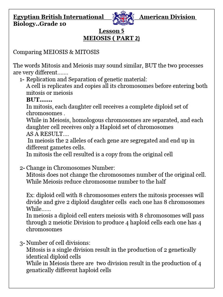 Meiosis visual data 7