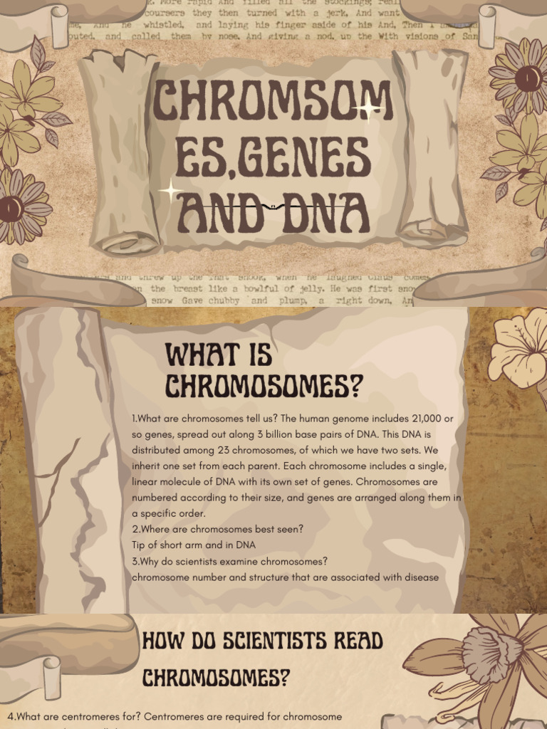 Chromsomes, Genes and Dna | PDF