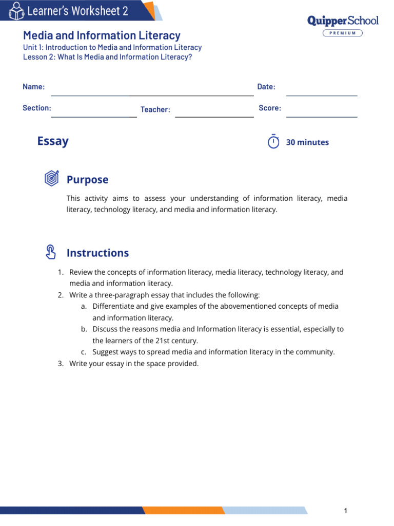 ESSAY What Is Media and Information Literacy | PDF
