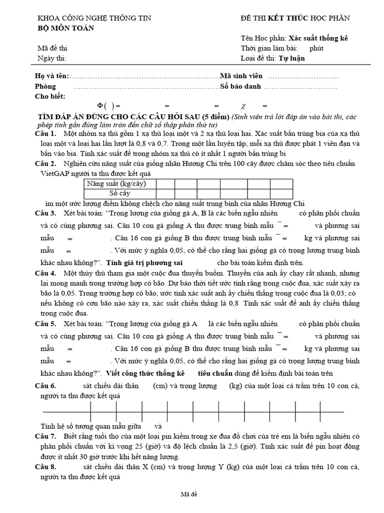 Mẫu đề thi 1 (COPY) | PDF