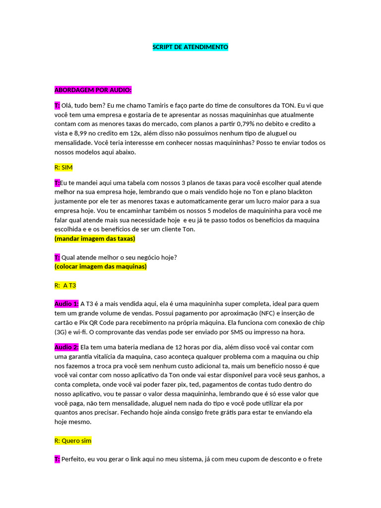 Script De Atendimento Ton Pdf