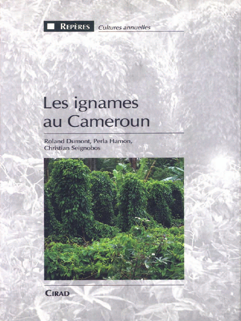 Extrait Les Ignames Au Cameroun | PDF