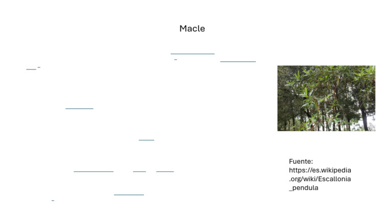 Macle | PDF