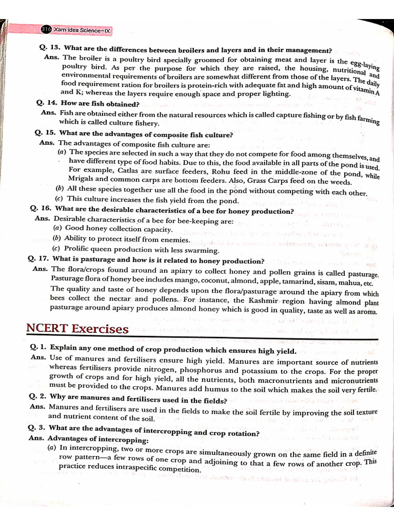 DocScanner 13 Aug 2024 19-11 | PDF