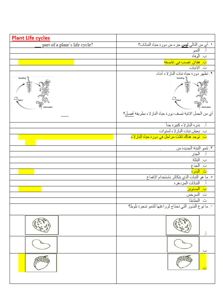 Answer key Science Term 3 Final Exam Plants and Animals | PDF